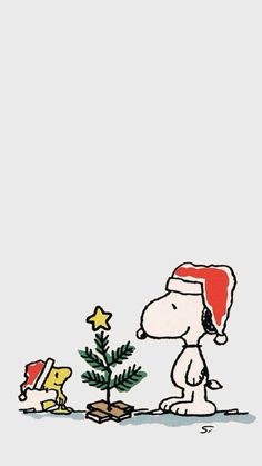 Christmas background Wallpaper Snoopy, Carcase Iphone, Christmas Wallpaper Ipad, Peanuts Wallpaper, A Charlie Brown Christmas, Christmas Wallpaper Iphone Cute, Christmas Wallpaper Backgrounds, Xmas Wallpaper, Snoopy Wallpaper