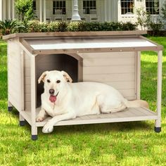 a large white dog laying in a wooden kennel