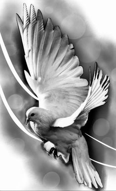 a black and white photo of a bird flying