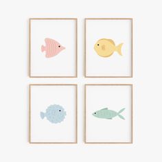 four framed pictures with different types of fish