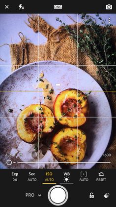 an image of some food on a plate with the camera's lens pointed at it