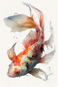 a painting of two goldfish in water with the words splash of fish above them