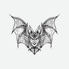 a bat that is drawn in black ink on a white background, with the wings spread out