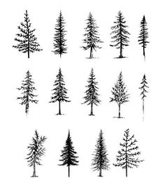 Pine Tree Tattoo Drawing, Matching Pine Tree Tattoos, Two Pine Trees Tattoo, Cactus Pine Tree Tattoo, Trees Around Wrist Tattoo, Jackpine Tattoo, Neck Tree Tattoo, Washington Tree Tattoo, Doodle Pine Tree