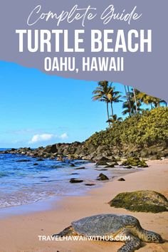 the complete guide to turtle beach in oahuu, hawaii with text overlay