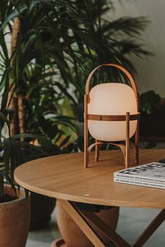 a table with a book and lamp on it in front of a potted plant