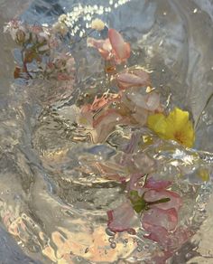 some flowers are floating in the water