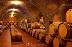 the wine barrels are lined up in the cellar