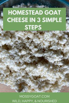 cheese in 3 simple steps with text overlay that says, homestead goat cheese in 3 simple steps