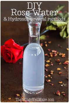 With a pleasant scent and anti-inflammatory properties, rose water and rose hydrosol are the perfect addition to homemade cosmetics. Learn several ways to make your own rose water or hydrosol and the difference between them. #rosewater #hydrosols #roses #floralwaters #naturalskincare #thethingswellmake #miy Diy Hydrosol, Make Rose Water, Rose Water Diy, Tinctures Recipes, Rose Petal Bath, Homemade Goods, Potpourri Recipes, Fresh Rose Petals, Rose Hydrosol