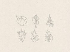 a drawing of seashells drawn on paper