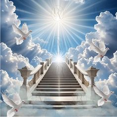 stairs leading to heaven with doves in the sky