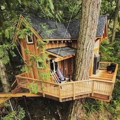 a tree house built into the side of a tree