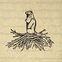 a drawing of a bird sitting on top of a nest