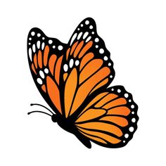 an orange butterfly with white dots on it's wings, flying in the air