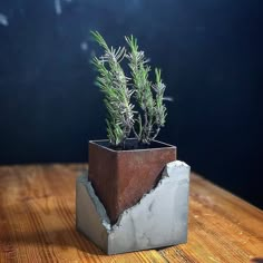 a potted plant sitting on top of a wooden table