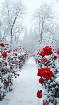 red flowers are growing in the middle of a snow covered garden with trees and bushes