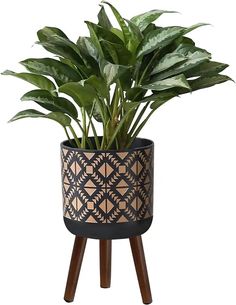 a potted plant sitting on top of a wooden stand