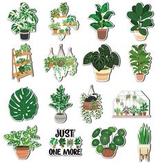 a variety of houseplants are shown on a white background with the words just one more