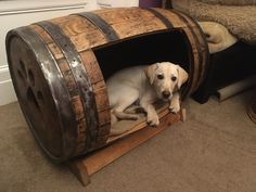 a white dog sitting in a wooden barrel on the floor next to a cat bed