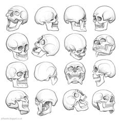 the different types of skulls are shown in this drawing lesson, which shows how to draw them