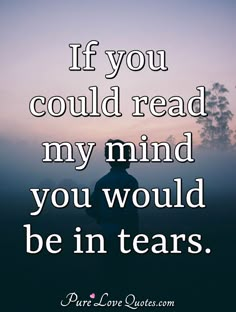 a person standing in front of a sunset with the words if you could read my mind, you would be in tears