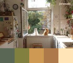 two cats sitting on the window sill in a kitchen with potted plants behind them