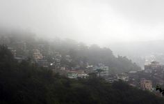 the city is surrounded by trees and fog