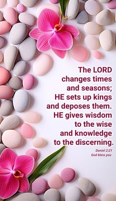 a pink flower sitting on top of rocks with a bible verse above it that reads, the lord changes times and seasons he sets up kings and keeps them