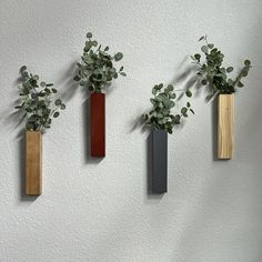 three wooden vases with plants in them hanging on the side of a white wall