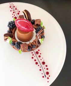 a white plate topped with a dessert covered in fruit and chocolates next to a strawberries garnish