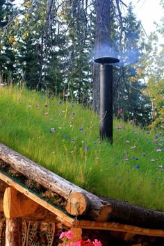 a green roof on top of a log house