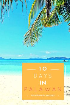 palm trees on the beach with text overlay that reads 10 days in palawan