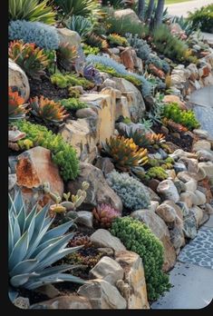 a rock wall with succulents and other plants growing on the side of it