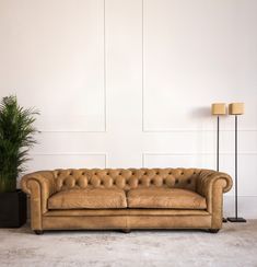 a tan leather couch sitting next to a potted plant