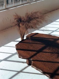 a small tree that is on top of a rug in the middle of a room