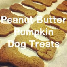 peanut butter pumpkin dog treats are lined up on a sheet of parchment paper with the words, peanut butter pumpkin dog treats