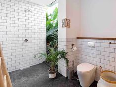 a bathroom with a toilet, plant and shower