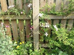 the fence is made of wood and has many flowers growing on it, along with other plants