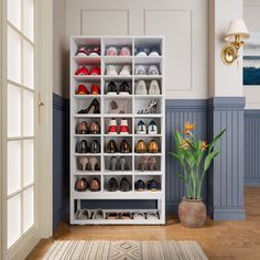 a white shoe rack filled with shoes next to a potted plant on top of a hard wood floor