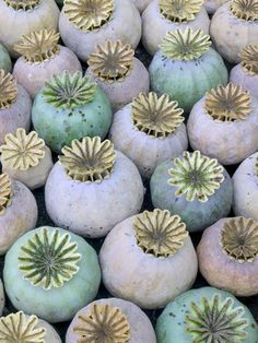 many green and white pumpkins with gold decorations on them, all stacked up together