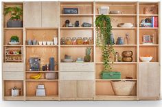 a wooden shelf filled with lots of different types of items and plants on top of it