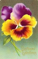 a painting of two purple and yellow pansies with words good morning on it's side