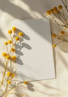 a sheet of paper sitting on top of a table next to some yellow flower stems