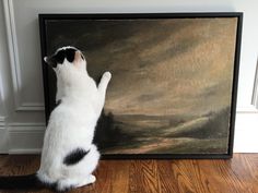 a black and white cat is looking at a painting