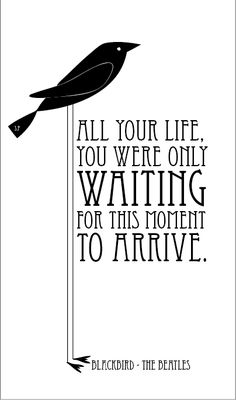 a black bird sitting on top of a pole with the words, all your life you were