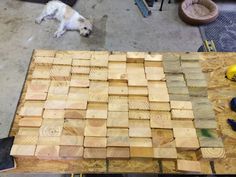 a dog is laying on the floor next to some wood planks and construction tools