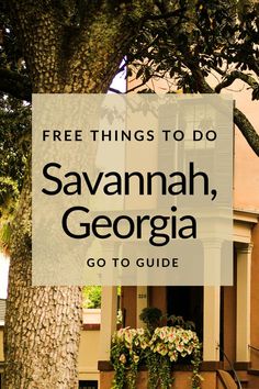 Looking for affordable fun? Savannah, GA is full of free attractions! Discover must-see spots like Forsyth Park and the beautiful Riverfront. #SavannahAttractions #FreeThingsToDo #VisitSavannah #TravelOnABudget #SavannahSightseeing Bonaventure Cemetery, Forsyth Park, Cedar Point, After Life, On The Road Again, To Infinity And Beyond