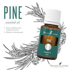 Essential Oil Hair Growth, Pine Essential Oil, Essential Oil Mixes