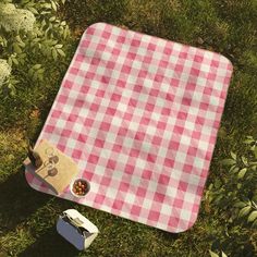 a picnic blanket and some food on the ground